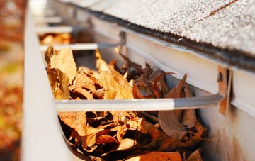 Clopton gutter cleaning companies