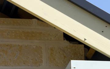 soffit repair Clopton